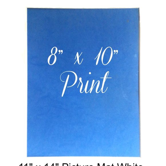 8 x 10 Egret Print Signed by Artist - Picture 2 of 3